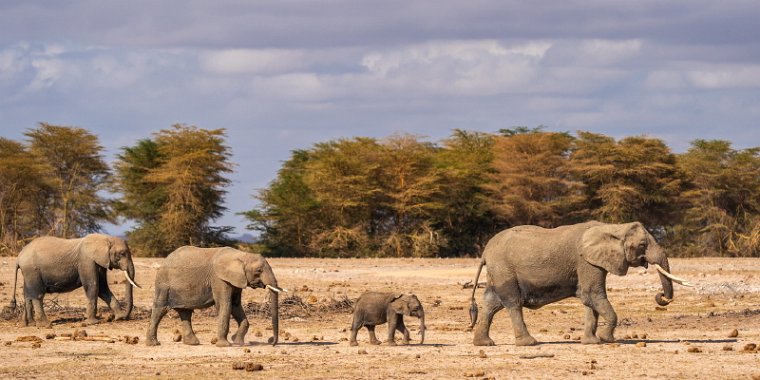 102 Amboseli Nationaal Park.jpg